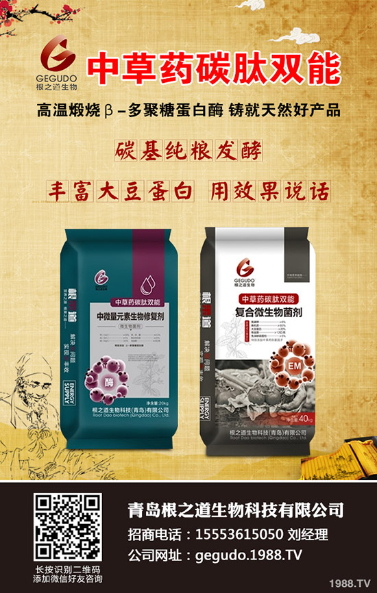     ����ʮ����ʲô����ע����헣����ӹ���������10�¹���ָ�����h��