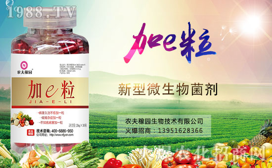 �����������������A���r(n��ng)��ڈ@�ٺ�1988.TV��(chu��ng)���x����