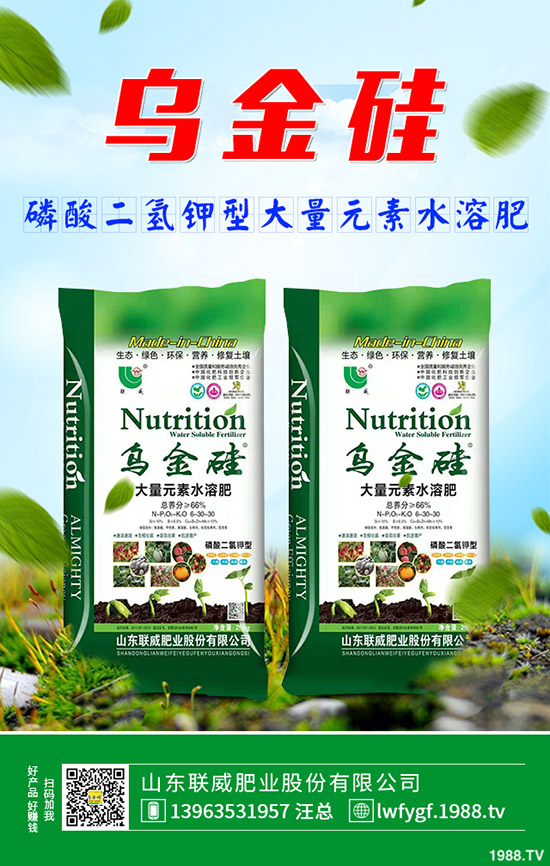     2019-9-27���Շ�(gu��)��(n��i)������@�Ј�(ch��ng)�������S��(b��o)�r(ji��)һ�[