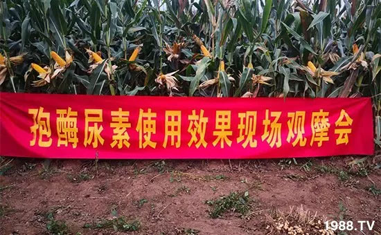 �ٿ���С�����a(ch��n)1471��pø����ȫ������(j��)�����߮a(ch��n)������(d��ng)֮�o(w��)����