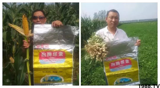 �ٿ���С�����a(ch��n)1471�����pø����ȫ������(j��)�����߮a(ch��n)������(d��ng)֮�o(w��)����