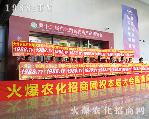 ��ʮ�����L��ֲ������1988.TV������ݿ�ǰ��(qi��ng)����