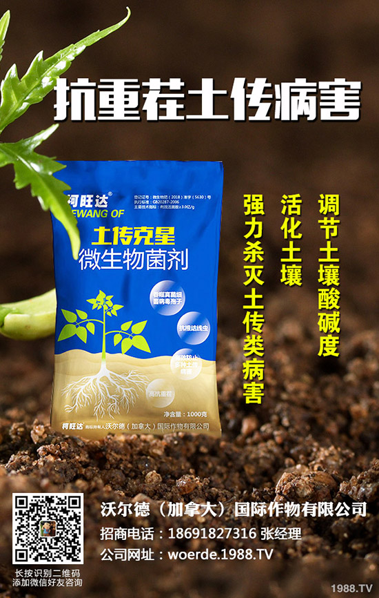 茄子什么時(shí)候育苗,茄子育苗的方法有哪些?