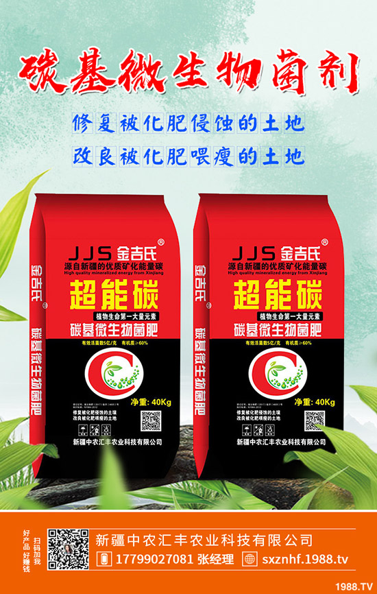 木瓜怎么種植效果?學(xué)會(huì)這幾點(diǎn),輕松大豐收!