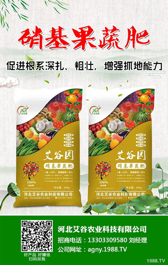 ����ԓ��ô��������ĠI�B(y��ng)�Է���ע�����(xi��ng)