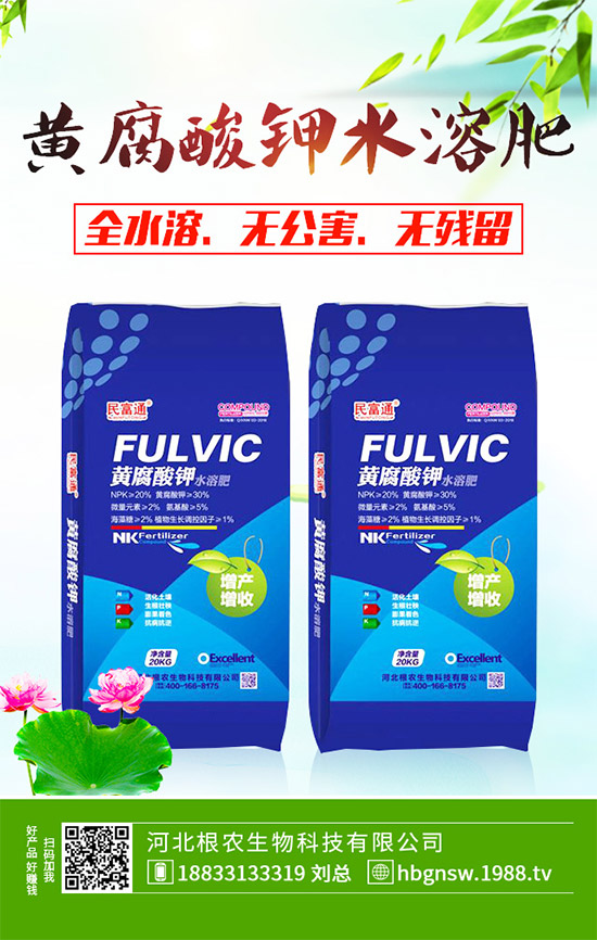 ����ԓ��ô��������ĠI�B(y��ng)�Է���ע�����(xi��ng)