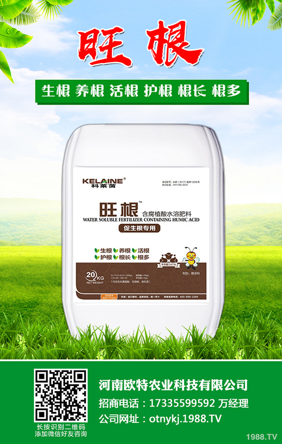 枇杷怎么種植,枇杷的種植及管理技術(shù)!