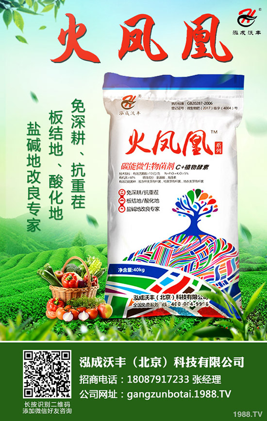     2019��9��4�ս��Շ���(n��i)һ�@�r�������߄��A(y��)�y�C���u��