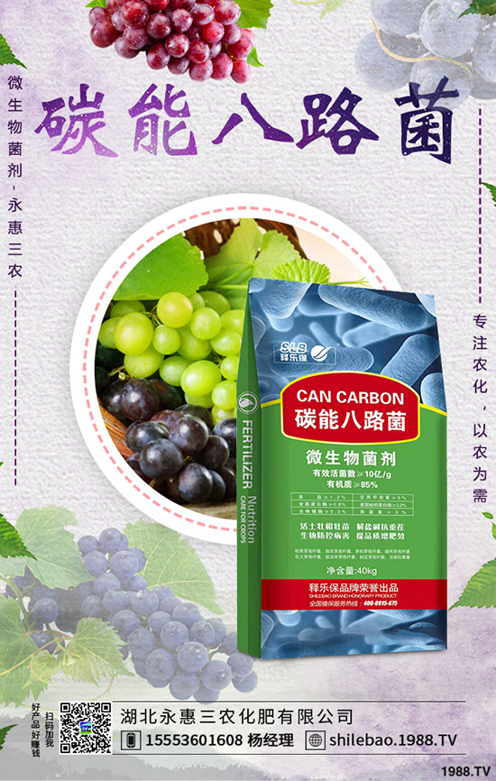     2019-9-7����⛷ʃr������ӑB(t��i)�u���������Xһ����