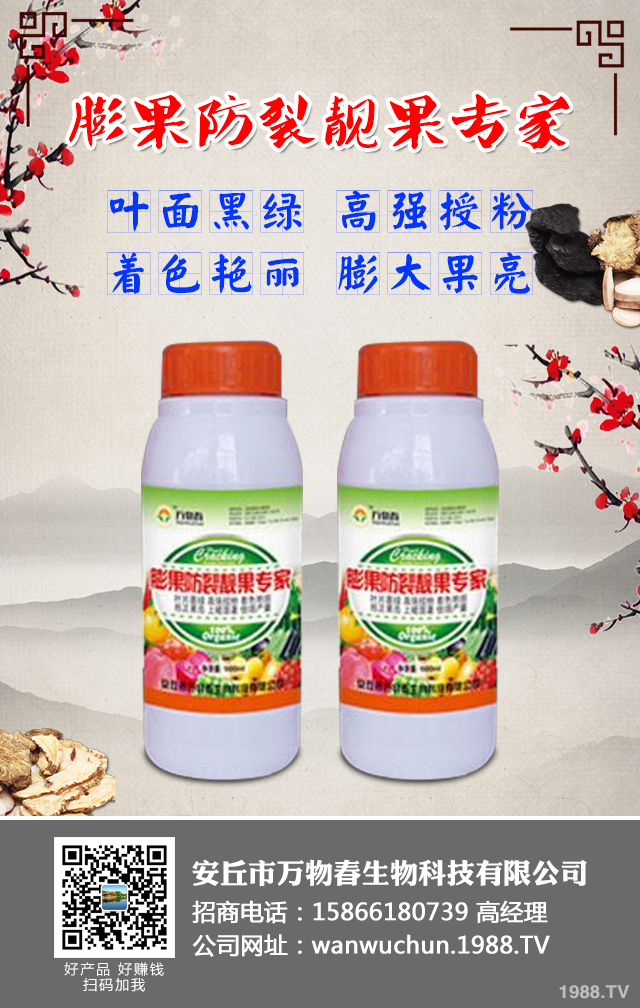 如何預(yù)防草莓畸形?草莓畸形防治技巧