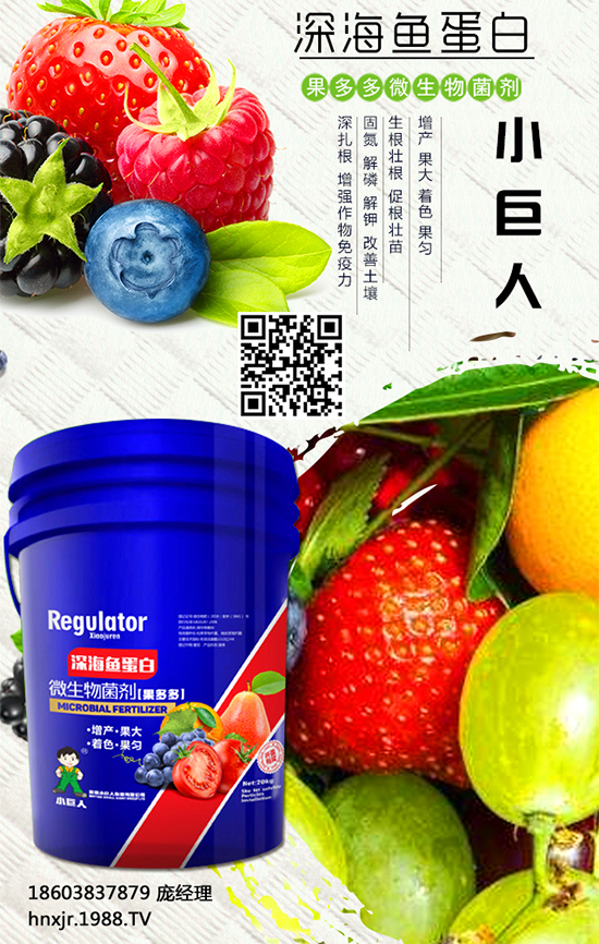 �t����ô�Nֲ���t���Nֲ�ĸ߮a(ch��n)����Ҫ�c(di��n) 
