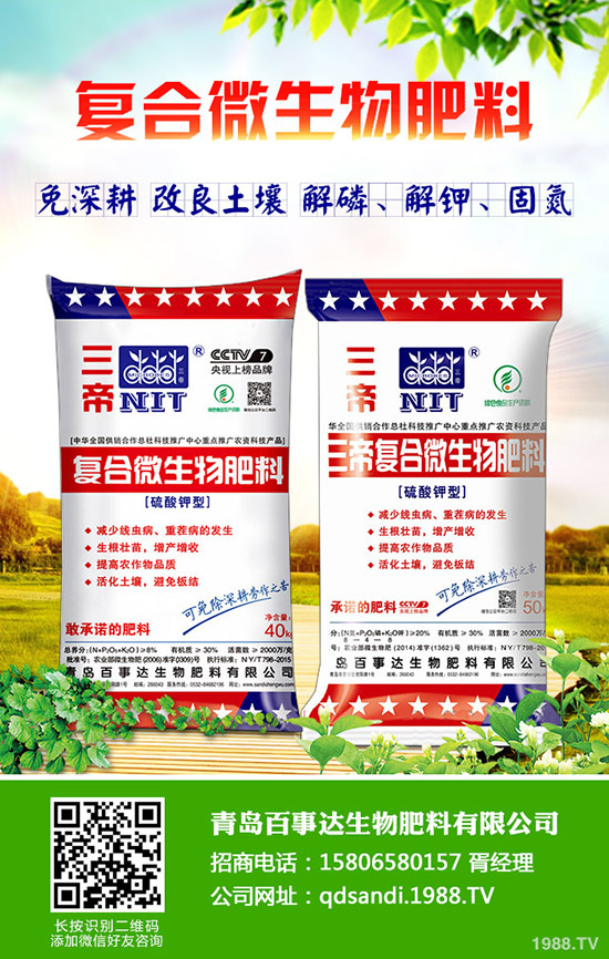 菠菜適合什么季節(jié)種植?菠菜種植時間及種植技術(shù)!
