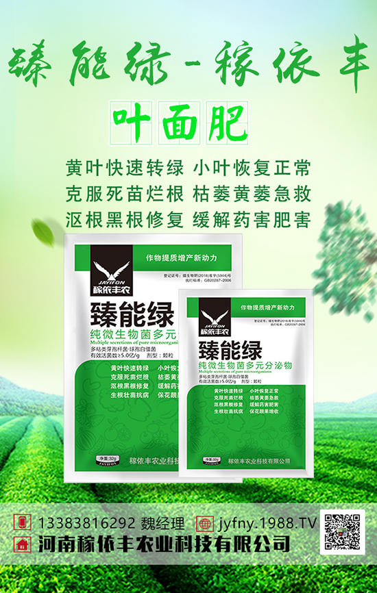 �n�Sʩ���з������n�S�Ĵ�ƌW(xu��)ʩ�ʼ��g(sh��)��