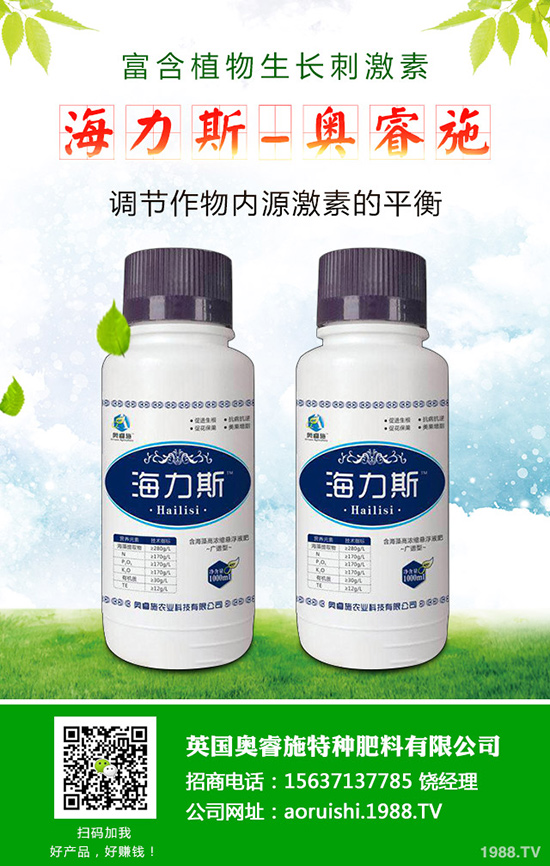 韭菜什么時候種植更好,韭菜種植時間和栽培技術(shù)