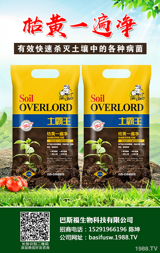 ���Sԓ��ηNֲ�����S�ĸ�Ч���༼�g(sh��)����Щ��