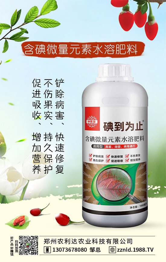 ɳ�ǽ�ʩ��Ҫ�v�������ͼ�����