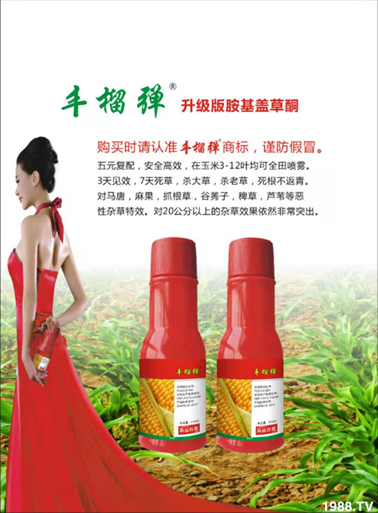 【河南吉力安】祝您鼠年大吉!家庭美滿!萬事如意!