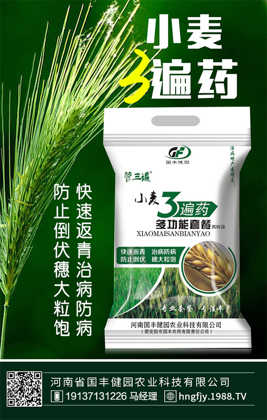 【國豐健園】祝大家在新的一年里身體健康,萬事如意!