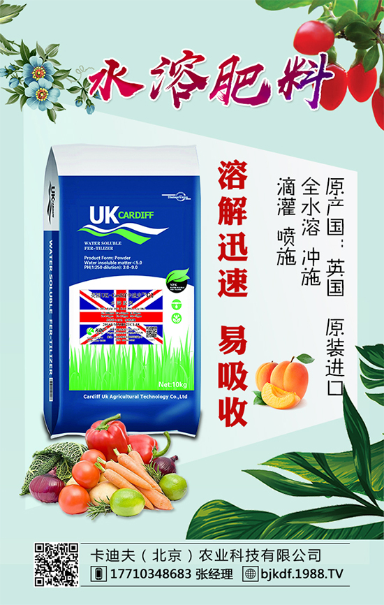 �S����Ҫ��ô�Nֲ���S���ˌ��h(hu��n)���l����Ҫ����