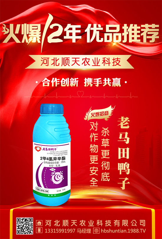 【河北順天】祝新老客戶新春快樂、闔家歡樂!