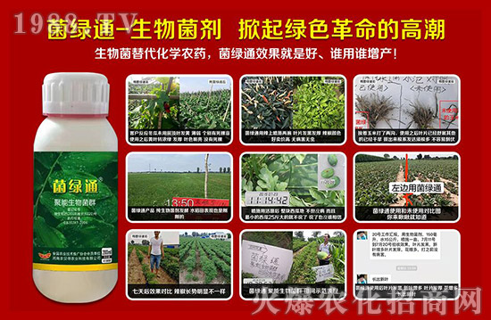 【河南農(nóng)貝得】祝廣大經(jīng)銷商朋友們,新的一年生意紅火、財(cái)源廣進(jìn)!