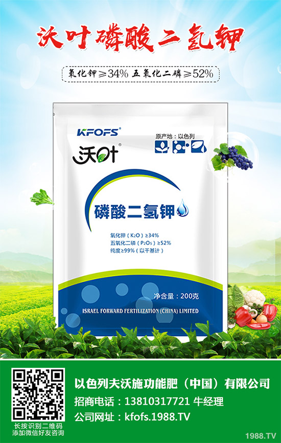 �۲˲���������ЩΣ����ԓ��η������۲˲�������Σ���c����