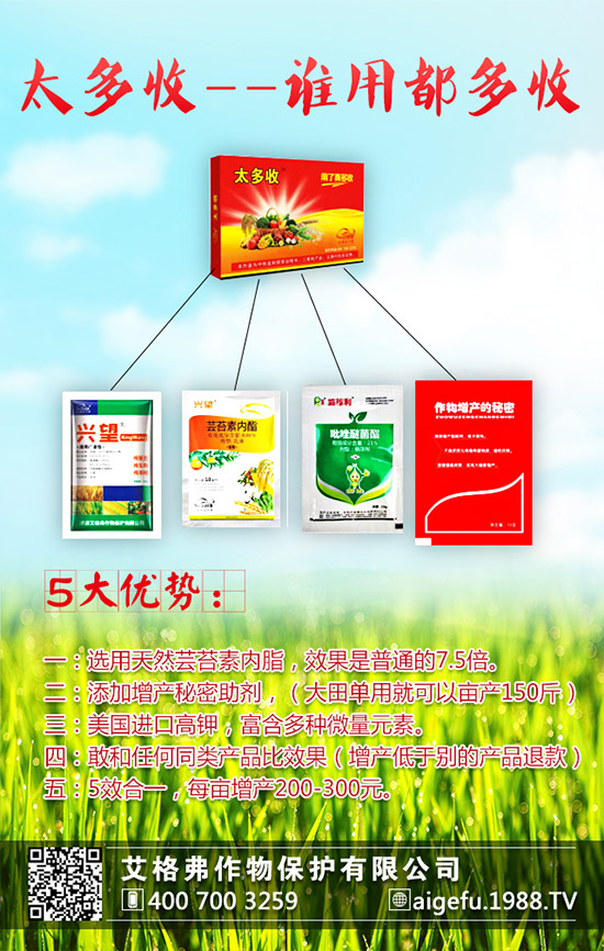 龍眼的種植要求有哪些?龍眼的種植要點!