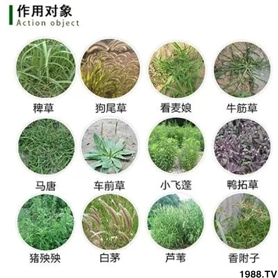 【北京鼎瑞】恭祝新老客戶鼠年大吉,新春快樂,財(cái)源滾滾!