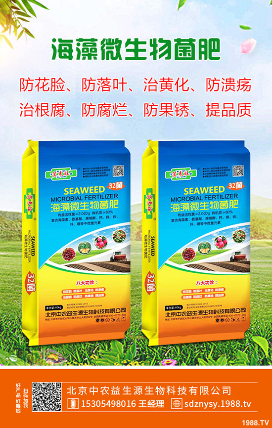     2020�����Nֲ�R������g(sh��)Ҫ�c(di��n)����δ�ѿ��ע�����(xi��ng)����Щ��