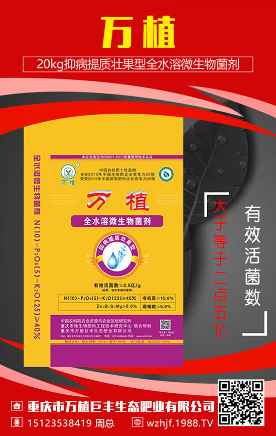 �t���Nֲ�r(sh��)���t�����Ҏ(gu��)�ɺ����c(di��n)����˽����