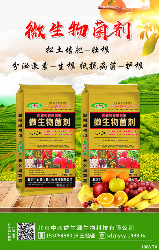     20���ո��؅^(q��)�����������S��(b��o)�r(ji��)һ�[��