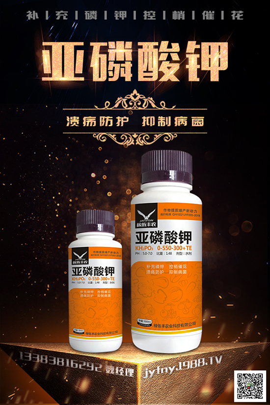 2020�N�ڷ���ٍ�X�᣿�ڷ��ѵķNֲ��������Щ��