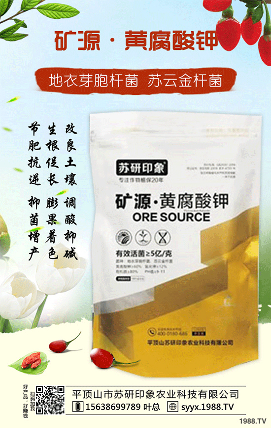 【平頂山市蘇研印象】祝大家在新的一年里身體健康!心想事成!萬事如意!