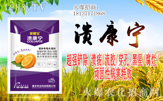 �����Ͽ��S�r(n��ng)�I(y��)��ףһ·�������т����w����������󼪣�