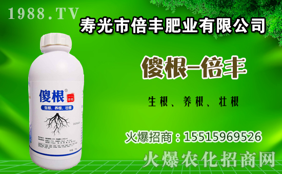 茄子種植該如何施肥？茄子的基肥與追肥方法！