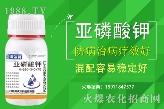 �������Ҫ��������ʲô������֮�g��ʲô�P(gu��n)ע��