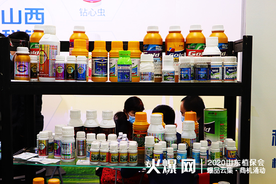 2020ɽ�|����ֲ������ɽ�����h�r(n��ng)�I(y��)�F(xi��n)����ԃ�������࣡չλ̖��WT113��