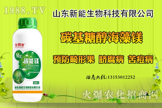 冬季大棚草莓畸形果原因，出現(xiàn)畸形果怎么防治？