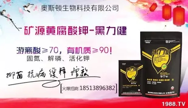 ����ʲô�r�g���N��ע���������Щ�����ش���Nֲ�r�g����