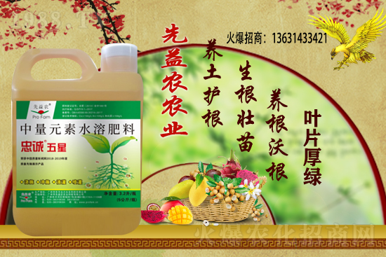 小麥價(jià)格多少錢(qián)一斤？今日小麥價(jià)格行情！