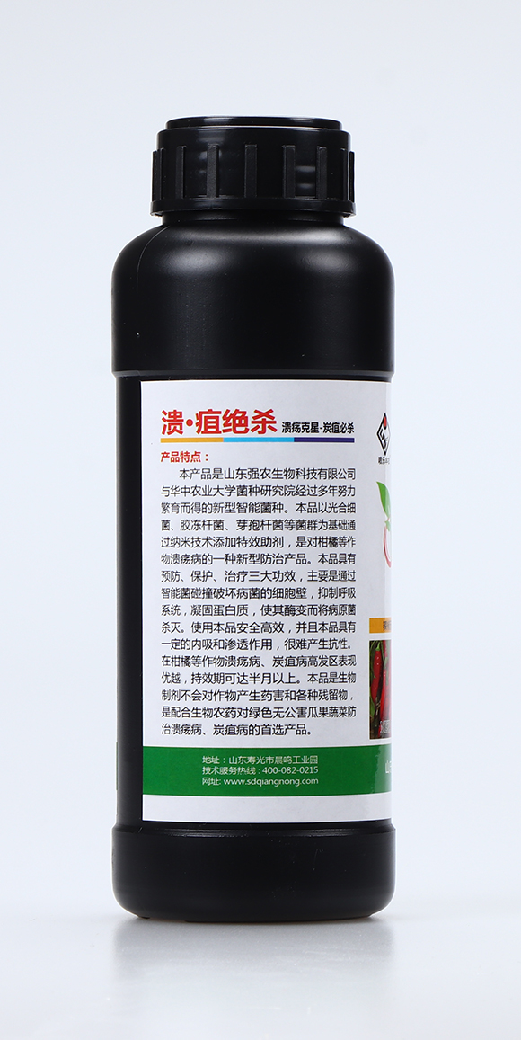 �����ҽ^��2