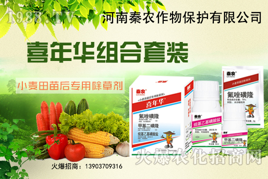 С����ʲôҪ��ǰ�������xʲô���݄�Ч������