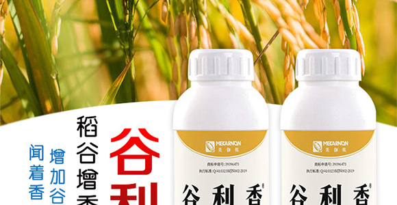 �����������a(ch��n)��-������-��٤�z_02