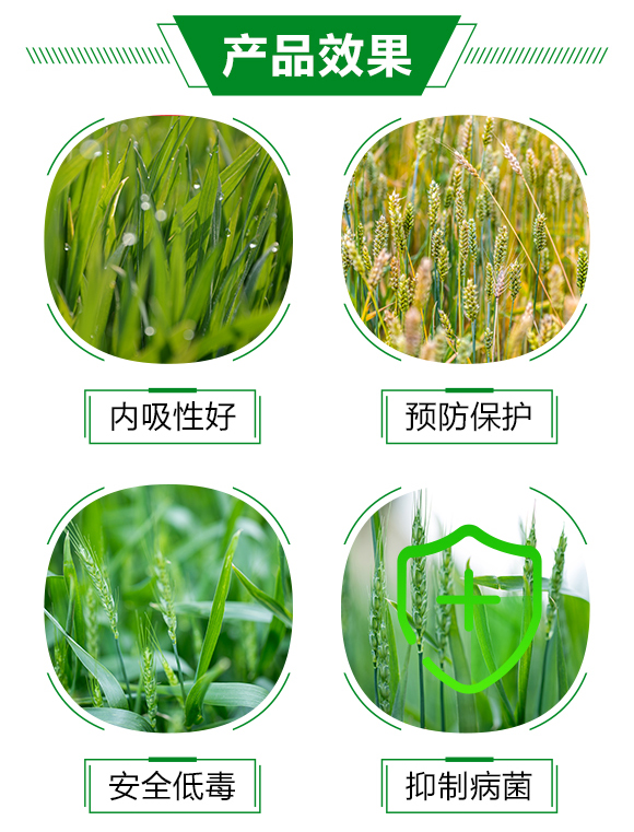 40%苯醚甲環(huán)唑(100克)-奕彩-泰禾化工_03