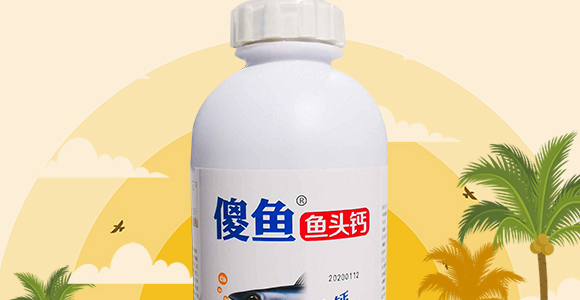 傻魚(yú)魚(yú)頭鈣-傻魚(yú)魚(yú)肥-倍豐_02