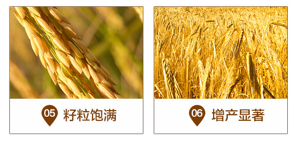 ����������a(ch��n)�ײ�-������-ِ��¶_06