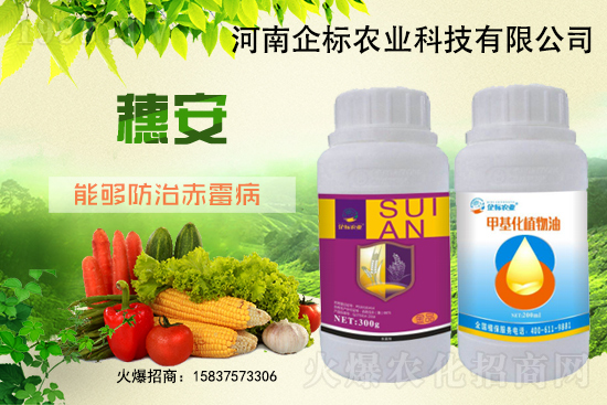 С����ù��Σ�����c(di��n)������С����ù����ʲôˎ��