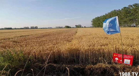 С����ù��Σ�����c(di��n)������С����ù����ʲôˎ��