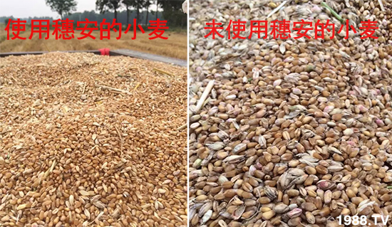 С����ù��Σ�����c(di��n)������С����ù����ʲôˎ��