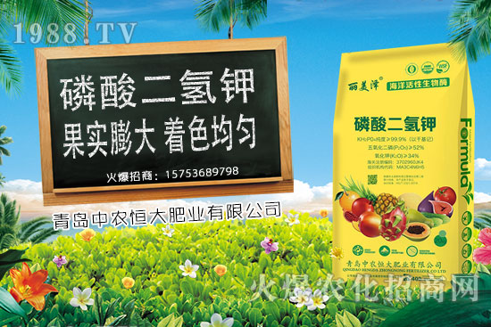 今日小麥價格上漲，后期是否會持續(xù)上漲？